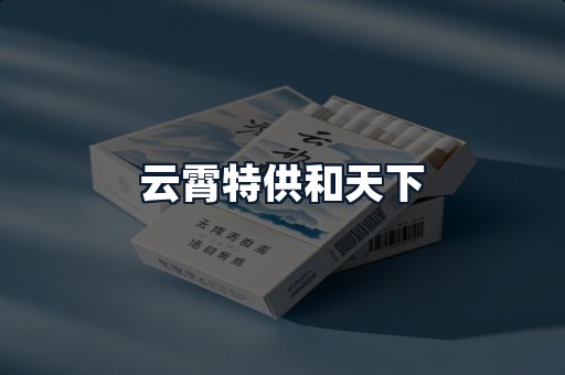 云霄特供和天下